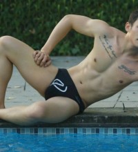 Hoàng anh
