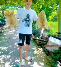Subin viet huong