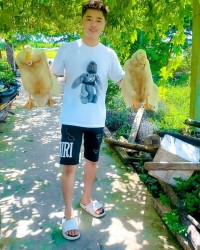 Subin viet huong