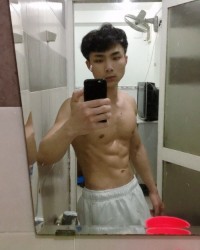 Tùng dương